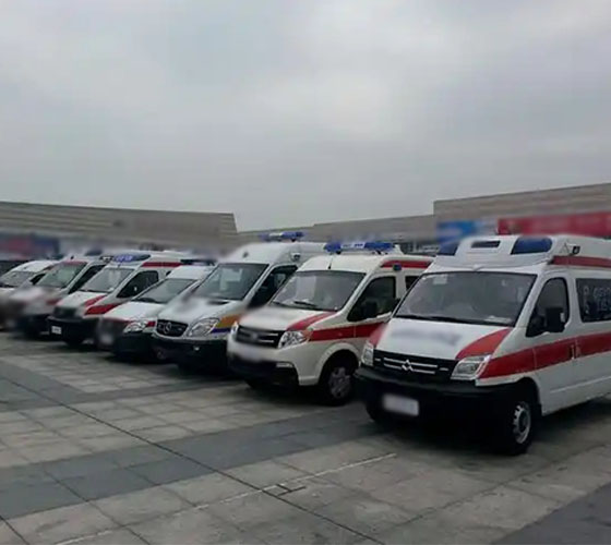 碌曲县服务车队展示